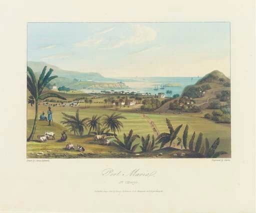 HAKEWILL, James (1778-1843). A Picturesque Tour of the Island of Jamaica. London: Hurst and Robinson, 1825 [plates watermarked J. Whatman Turkey Mill 1823-1824].