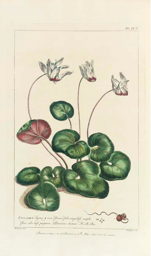 MILLER, Philip (1691-1771). Figures of Beautiful, Useful, and Uncommon Plants described in the Gardeners Dictionary. London: printed for the Author, to be sold by John Rivington, A. Millar, and others, [1755-]1760.