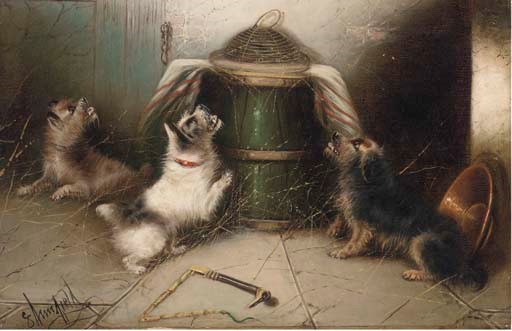 Edward Armfield, 19th Century