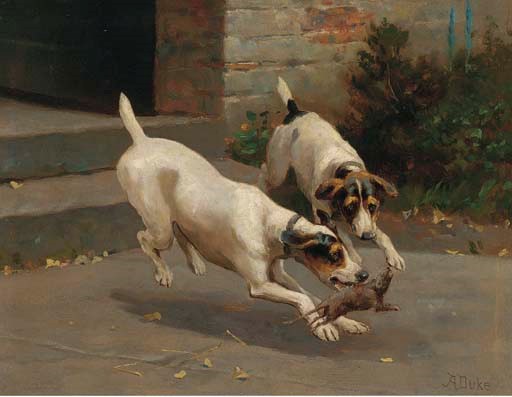 Alfred Duke (D.1905)