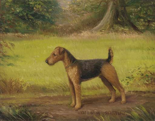 Henry Crowther, early 20th Centruy