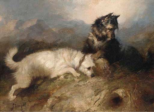 George Armfield (Fl.1840-1878)