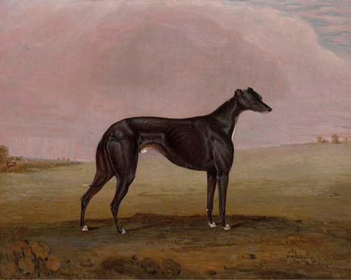 R. W. Folkard (fl.1831-1844)