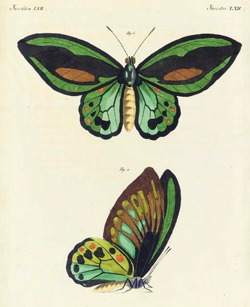 Friedrich Justin Bertuch (1747-1822)