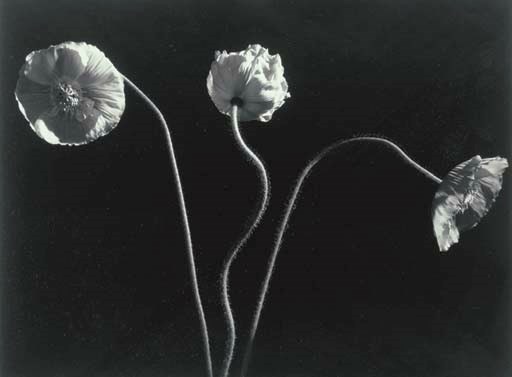HORST P. HORST (1906-1999)