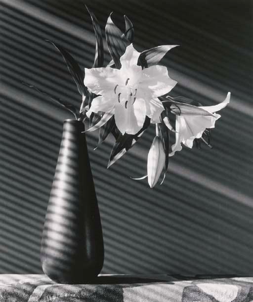 ROBERT MAPPLETHORPE
