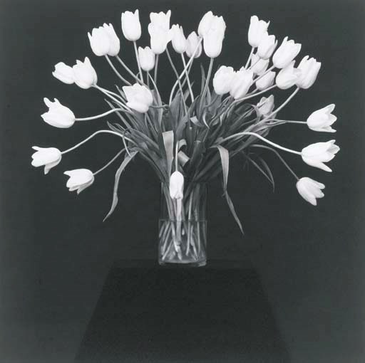 ROBERT MAPPLETHORPE