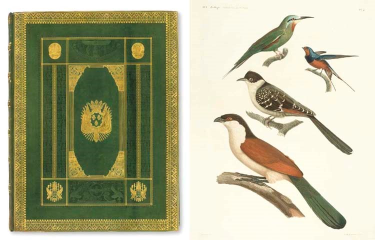 Description de l'Egypte, ou Recueil des observations et des recherches qui ont été faits en Egypte pendant l'expédition de l'armée française, publié par les ordres de sa majesté l'empereur Napoléon le Grand. Paris: Imprimerie impériale [puis] Imprimerie royale, 1809-1822.