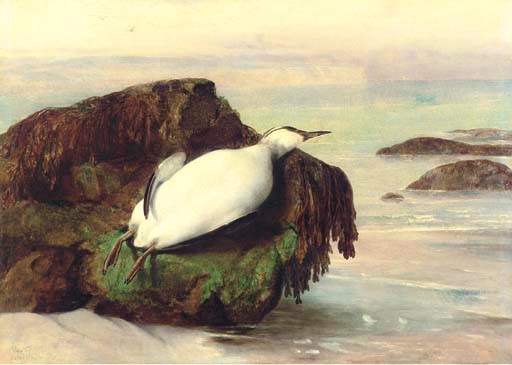 John George Naish (1824-1905)