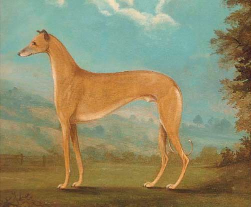 English School, 18th Century