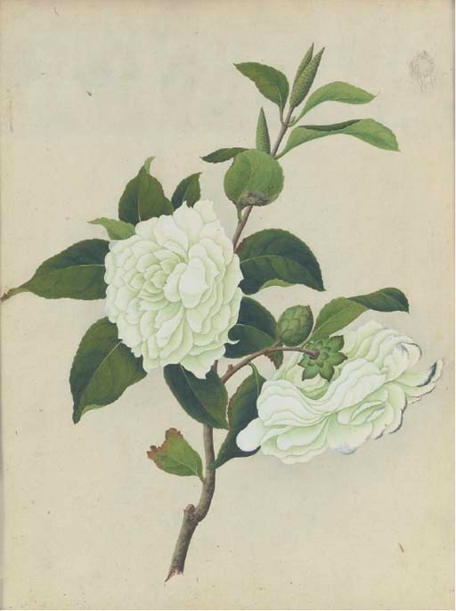 Anglo-Chinese School, 19th Century