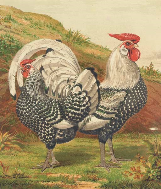 After J. W. Ludlow (Active late 19th Century)