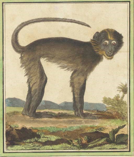After Jacques Eustache de Seve (1790-1830)