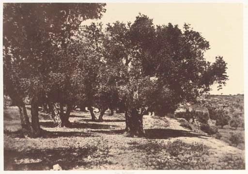 [PHOTOGRAPHIE] -- SALZMANN, Auguste (1824-1872). Jérusalem. Etude et reproduction photographique des monuments de la ville sainte depuis l'époque judaïque jusqu'à nos jours. Paris: Gide et Baudry, 1856.