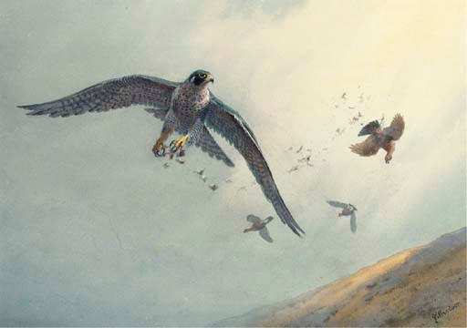 John Cyril Harrison (1898-1985)