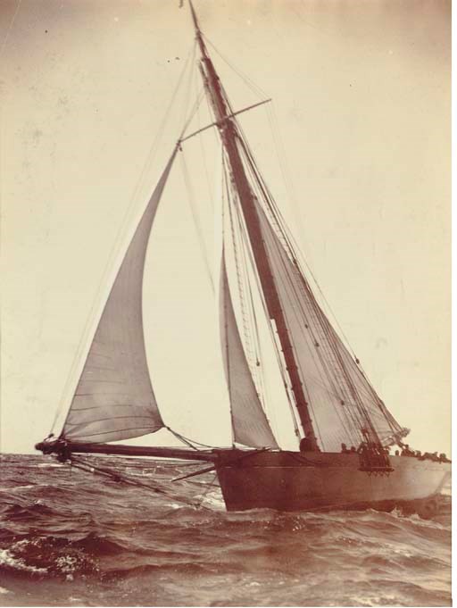 West & Son (British, 19th/20th Century)