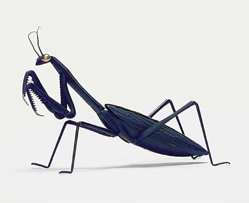 AN ARTICULATED IRON MODEL OF A CRICKET