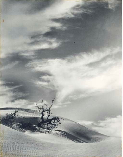 FLOYD B. EVANS (1890-1966)