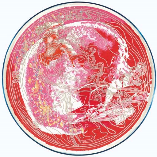 JAMES ROSENQUIST