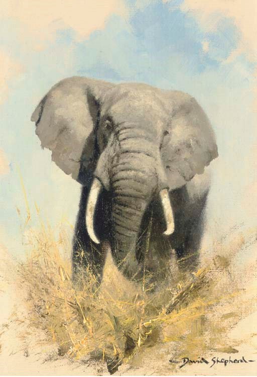 David Shepherd (b. 1931)