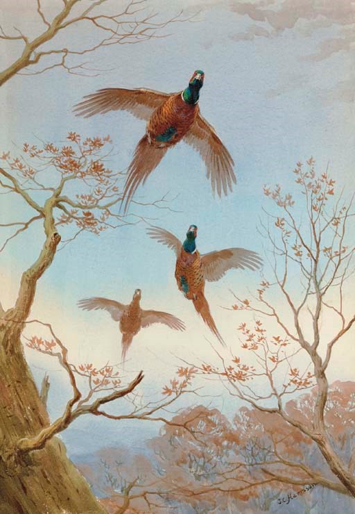 John Cyril Harrison (British, 1898-1985)