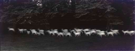 PAUL CAPONIGRO (b. 1932)