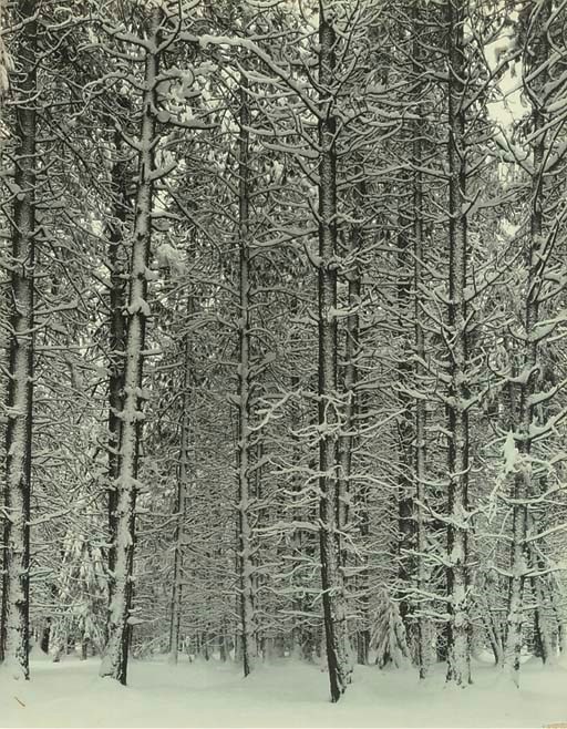 ANSEL ADAMS (1902-1984)