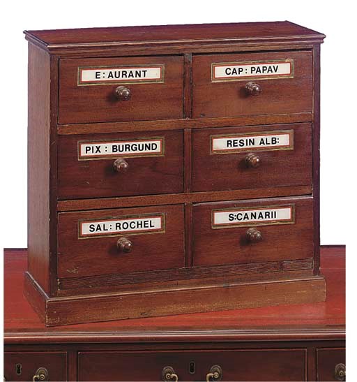 A LATE VICTORIAN MAHOGANY APOTHOCARY'S CABINET