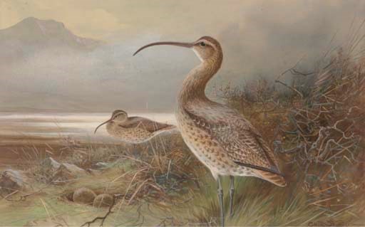 Charles Whymper (British, 1853-1941)