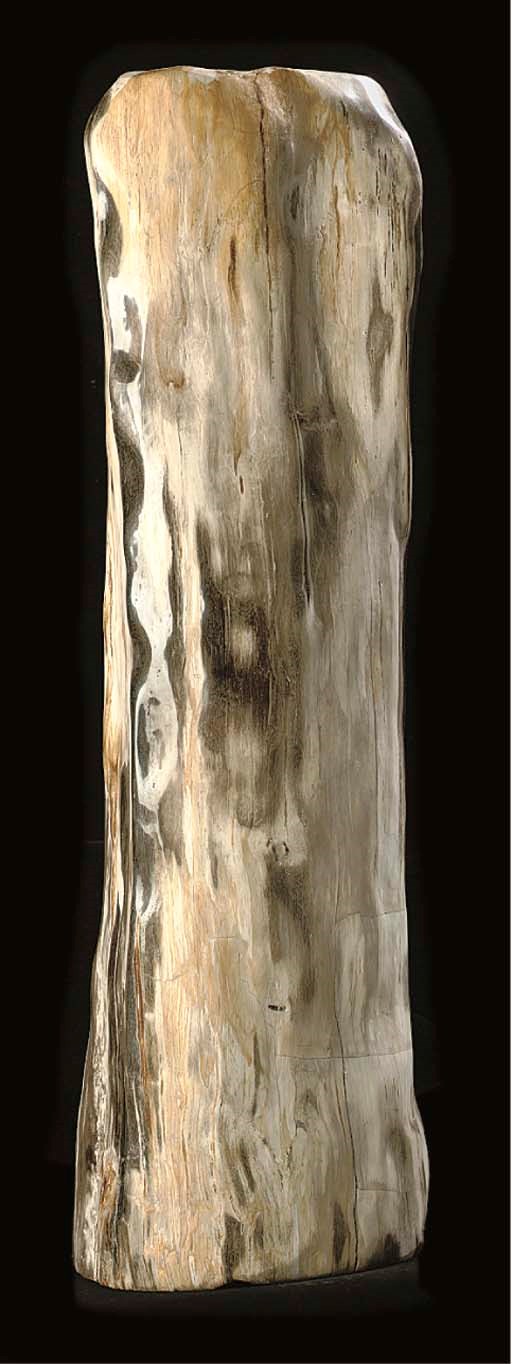An attractive polished petrified wood log,