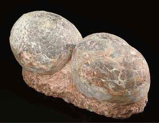 A good pair of Hadrosaur eggs,