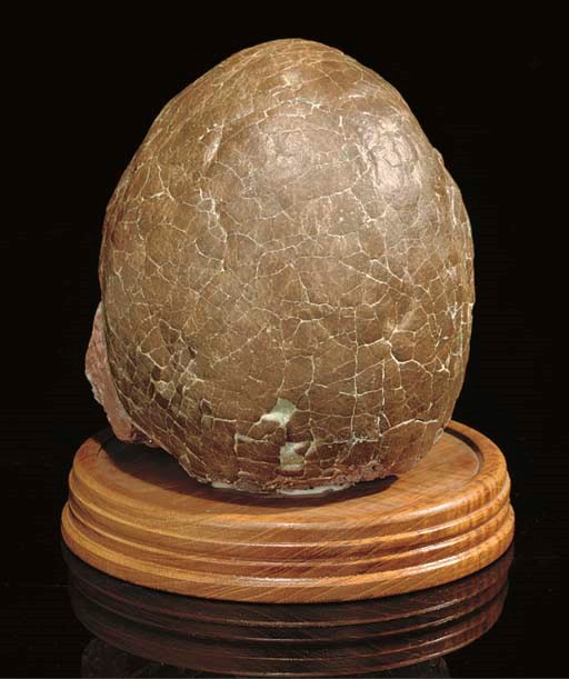 A good Hadrosaur egg specimen,