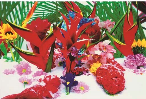 Marc Quinn (B. 1964)