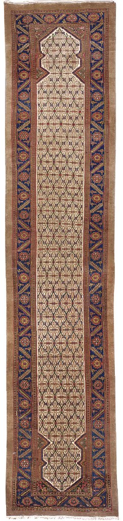 A SARAB RUNNER