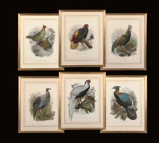 DANIEL GIRAUD ELLIOT (1835 - 1915), A MONOGRAPH OF THE PARADISEIDAE, OR FAMILY OF PHEASANTS: TWELVE PLATES