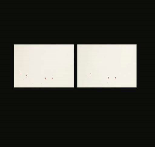 Roni Horn (b. 1955)