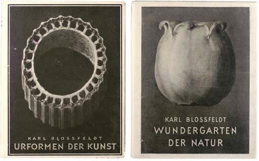 KARL BLOSSFELDT
