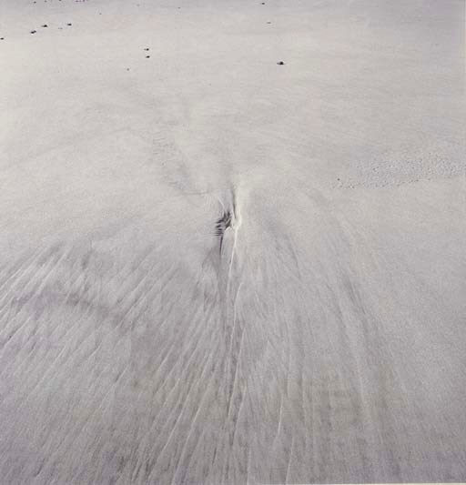 HARRY CALLAHAN