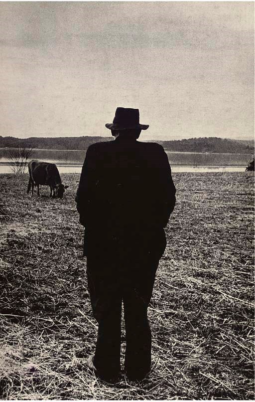ROBERT FRANK
