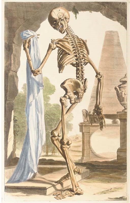 COWPER, Guillaume (1666-1709). Anatomia Corporum Humanorum Centum et Viginti Tabulis ... ad Vivum expressis. Utrecht: Nicolaus Muntendam, 1750.
