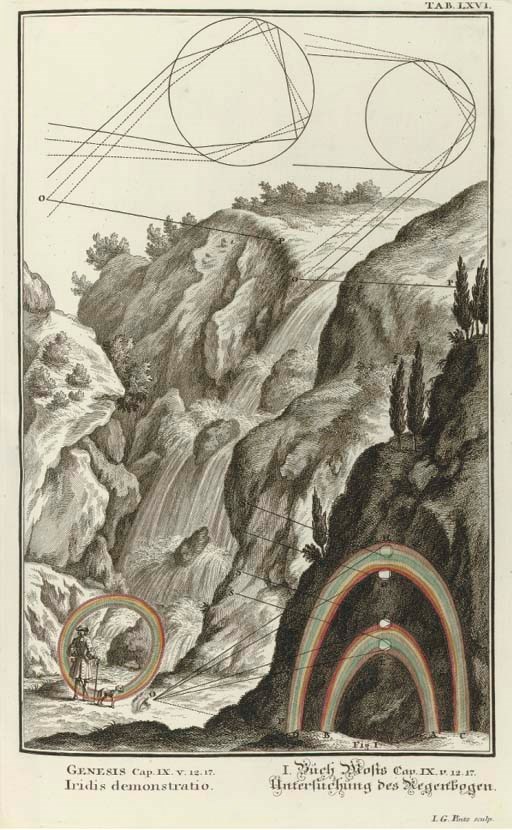 SCHEUCHZER, Johann Jacob (1672-1733).  Physique sacrée, ou histoire naturelle de la Bible. Amsterdam: Pierre Schenk & Pierre Mortier, 1732-34. Volumes I-V only (of 8) in 4 volumes, 2° (381 x 258mm). Half title in volumes I, III-V, titles in red and black, large engraved headpiece in each volume, 505 engraved plates only (lacking plate no. 38, most volumes lightly waterstained, stronger in vol. III, a few leaves lightly browned, occasional soiling in vol. IV). Contemporary sheep, crowned monogram "CM" stamped in black on sides, spines lavishly decorated in gilt, morocco lettering-pieces (head and tail of spines chipped, quite rubbed). Provenance: crowned monogram "CM" (stamp on titles and sides). 	 (4)