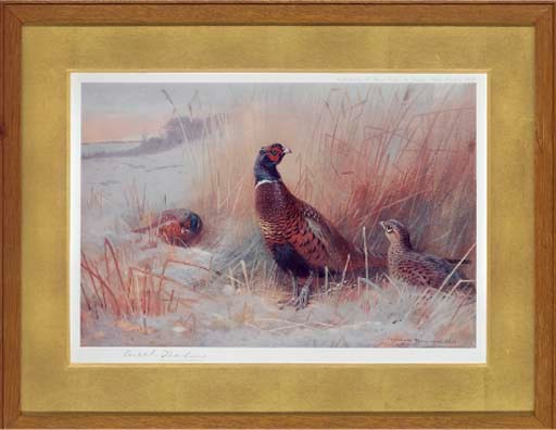 After Archibald Thorburn