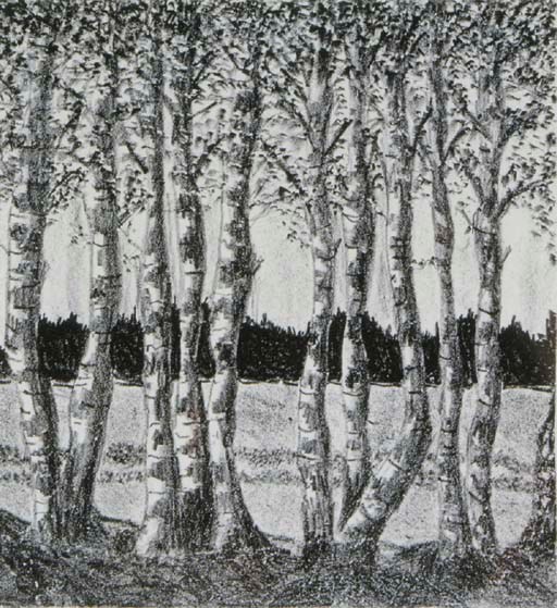NANCY BENSON, 20th CENTURY