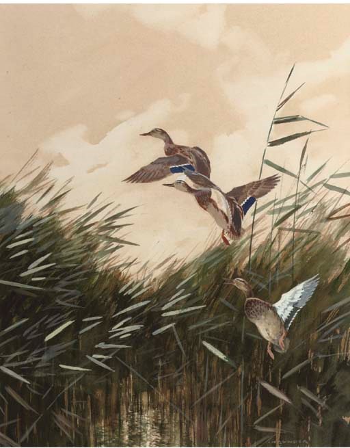 (3)  Jo Schrijnder (DUTCH, 1884-1968)