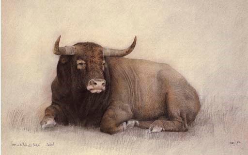 Guillermo Muñoz Vera (Concepción, Chile, 1956)