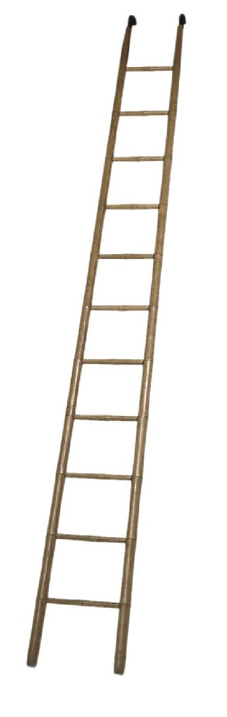 AN ASH LIBRARY LADDER