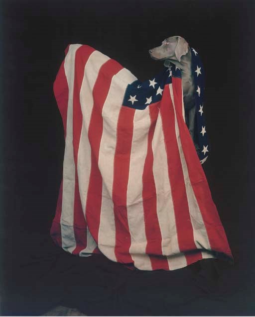 WILLIAM WEGMAN (b. 1943)