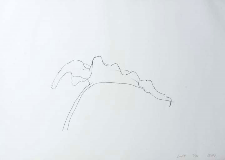 ELLSWORTH KELLY