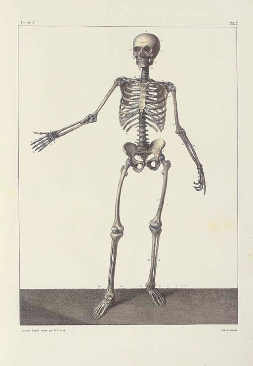 JEAN BAPTISTE MARC BOURGERY (1797-1849) AND NICOLAS HENRI JACOB (1781-1871, ILLUSTRATOR)