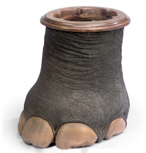 AN EDWARDIAN WALNUT MOUNTED ELEPHANT FOOT STICK STAND